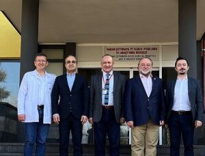 Alzheimer Hastalığının Tedavisi İçin Heyecan Yaratan Çalışma