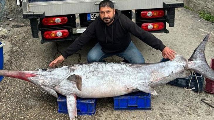 Akdeniz'de Dev Kılıç Balığı Avı