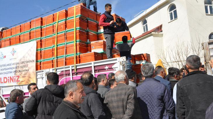 Batman'da Organik Bal Üretimi