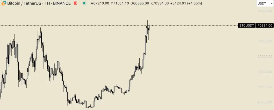 Bitcoin (BTC) Halving ve Piyasa Hareketliliği