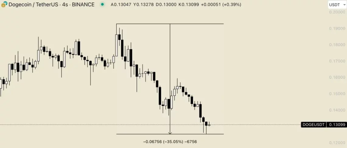 Bitcoin Düşüşü ve Memecoin'ler: Piyasada Endişe Yaratıyor