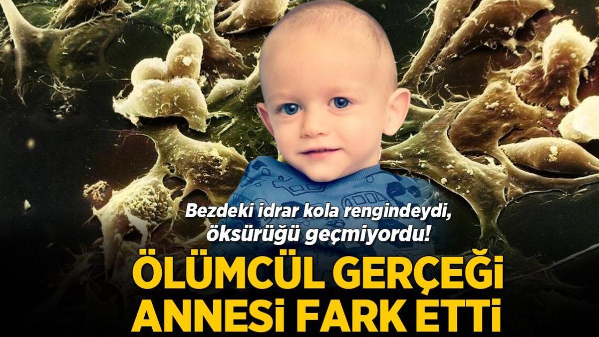 Tuhaflık ve Tesadüf: İdrarda Bulunan Gerçek