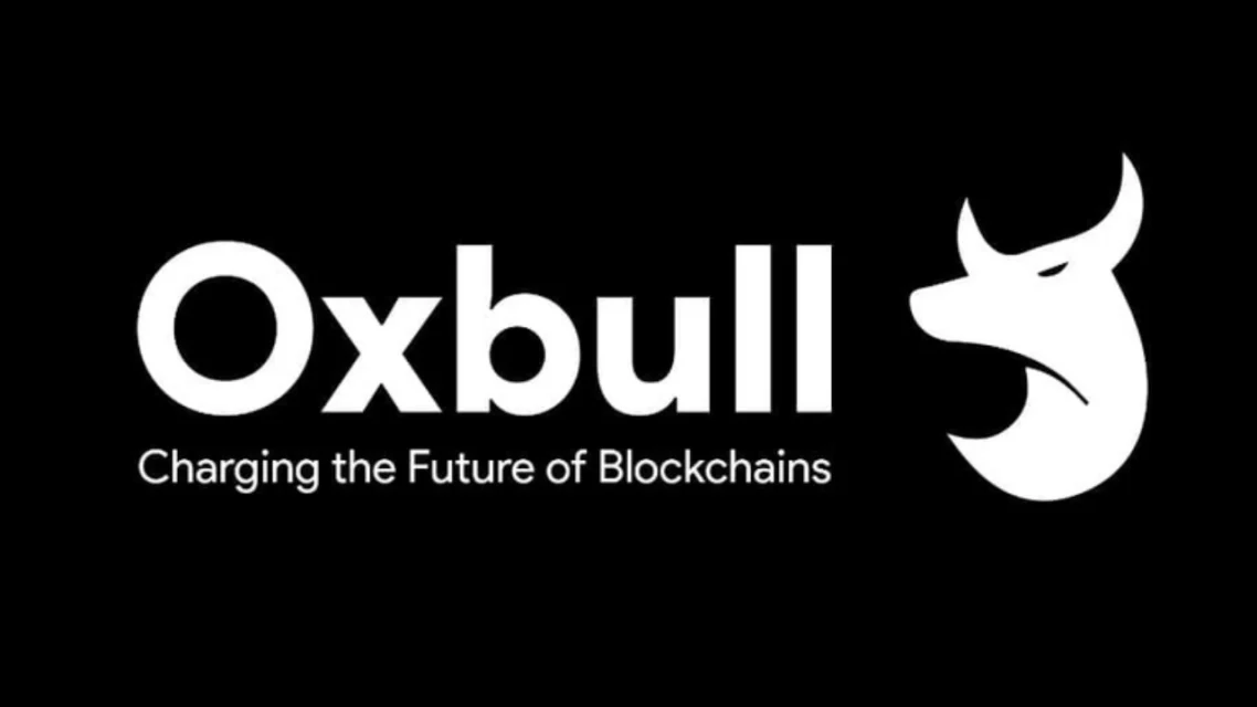 Platformların Başarısı ve Türk Fenomenlerin İlgi Odağı