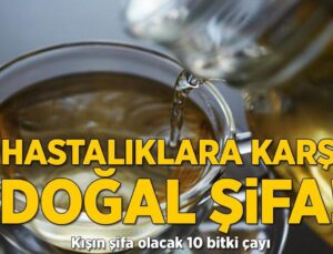 Doğal Bitki Çayları ile Kış Hastalıklarına Karşı Korunun