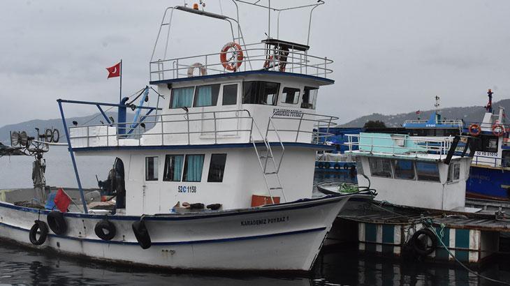 Palalmut ve Hamsi Avı Üzerine Değerlendirmeler