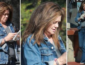 Kathy Ireland: Modellikten İş Dünyasına