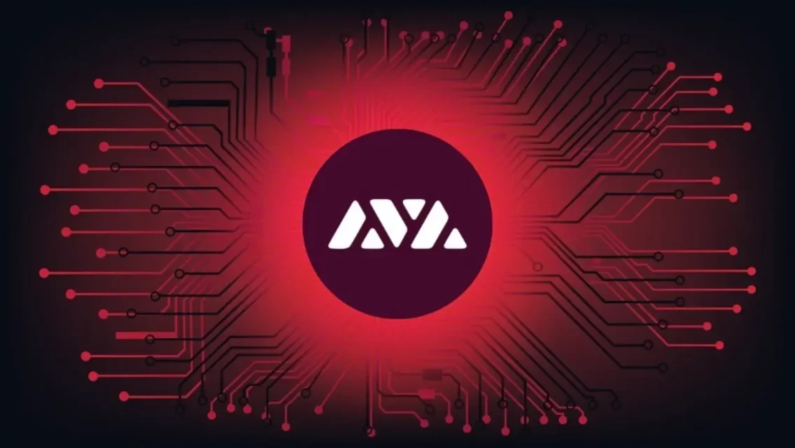 Kripto Paralar ve Ağlara Olan İlgi