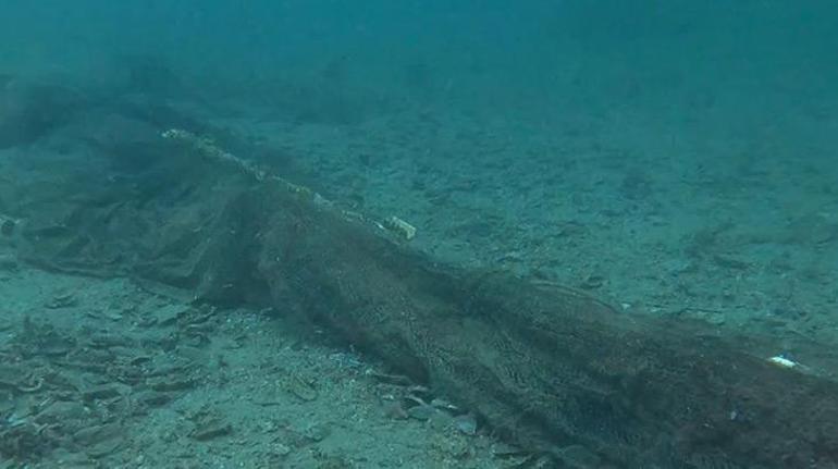 Marmara Denizi'nde Denizcilik Fakültesi Dekanı Dalış Yapıyor