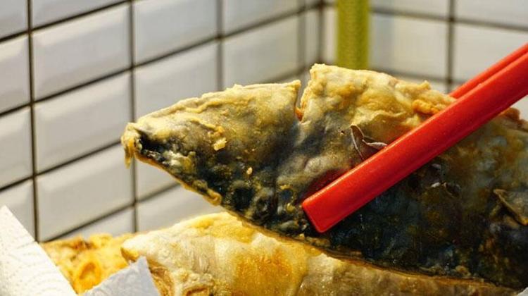 Palamut Balığının Sağlığa Faydaları ve Saç Cilt Sağlığına Etkileri