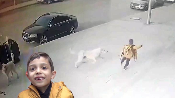 Olay Detayları