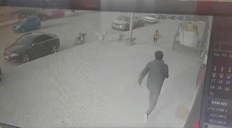 Anne Fatma Güney'in Çığlığı