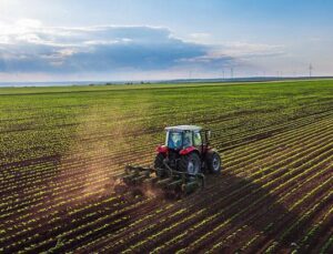 TÜİK Tarım Ürünleri Üretici Fiyat Endeksi Şubat 2024 Verileri