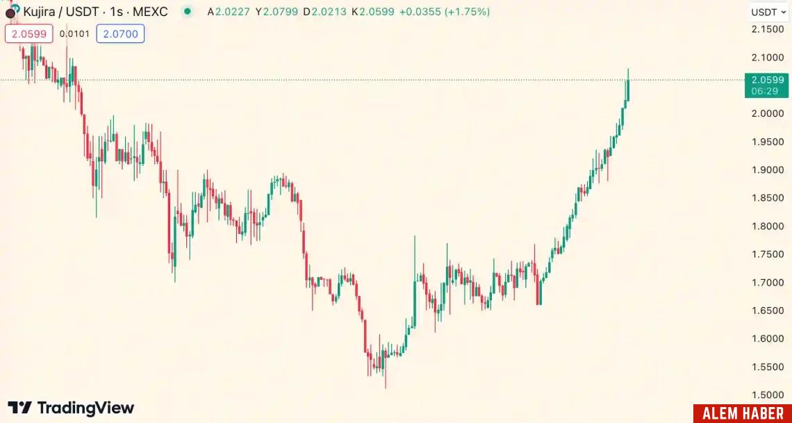 Bitcoin Halving Etkisiyle Yükselen Altcoin'ler