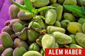 Çağla Meyvesinden Nasıl Yararlanabilirsiniz?