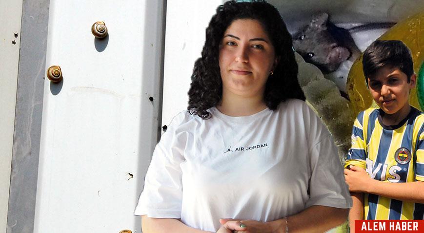 Sinek ve Böcek Sorunu Artıyor