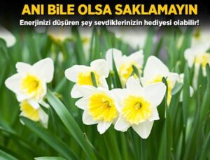 Feng Shui ve Çiçekler