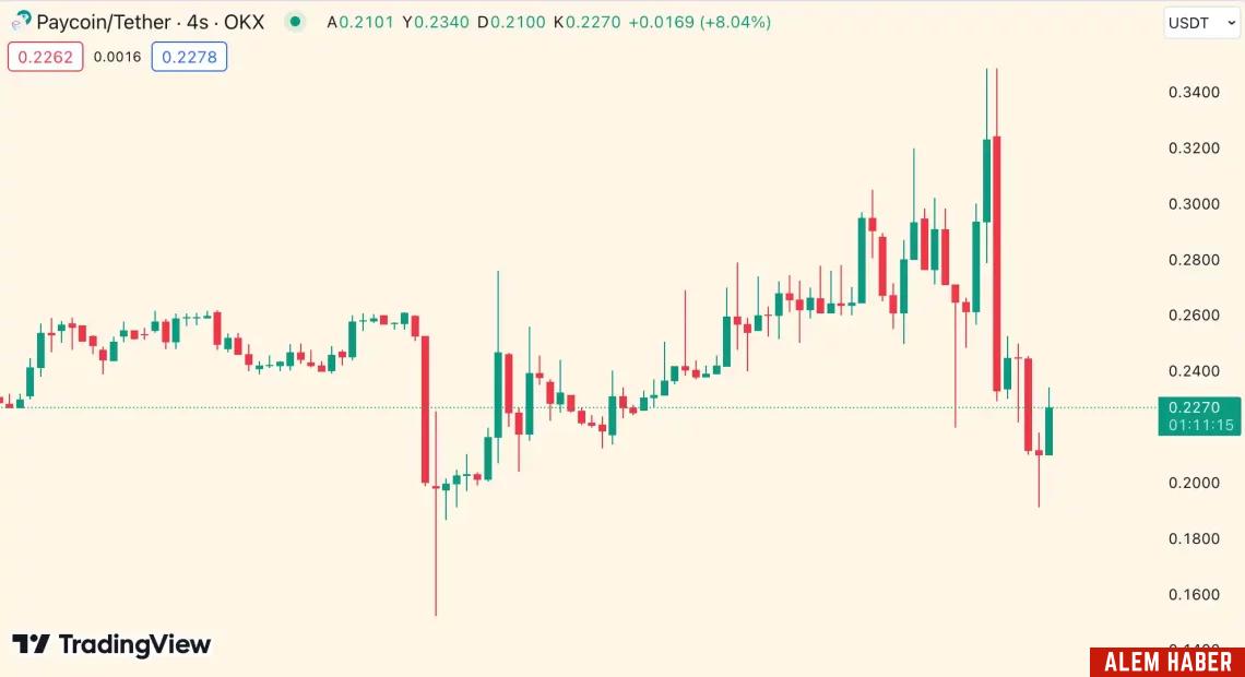 Günün En Çok Kaybettiren Kripto Paralar ve Piyasa Analizi