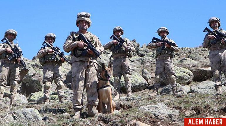 Jandarma Köpekleri: Güvenliğin Vazgeçilmezleri