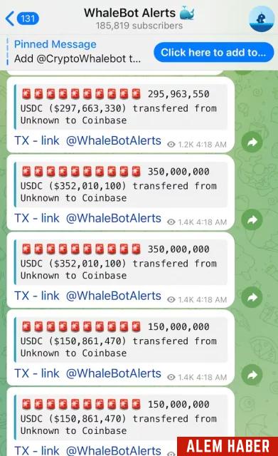 Analist Yorumları ve Beklentiler