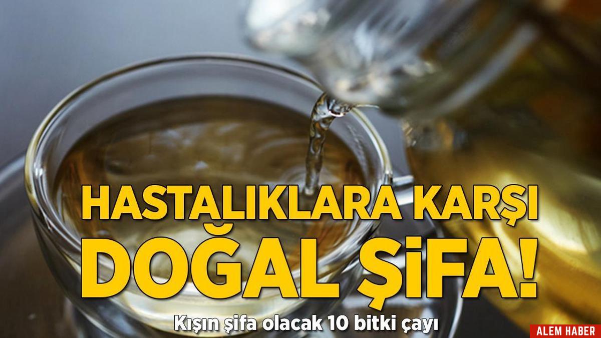 10 Şifa Dolu Bitki Çayı
