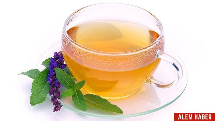 Doğal Bitki Çayları ile Kış Hastalıklarına Karşı Korunma