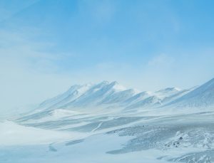 Rüyada Akrep Beslemek