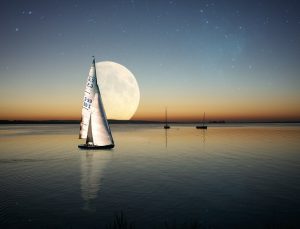 Rüyada Akrep Yakalamak