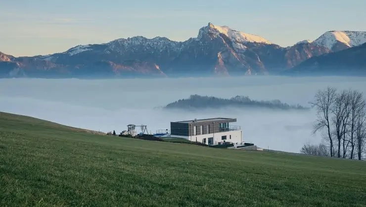 Rüyada Akrepten Kaçmak