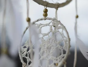 Rüyada Ayı Tuzağı Görmek