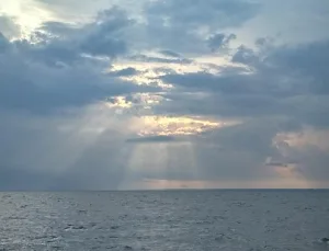 Aslan Görerek Uyuyanlar İçin Manevi Mesajlar