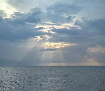 Aslan Görerek Uyuyanlar İçin Manevi Mesajlar