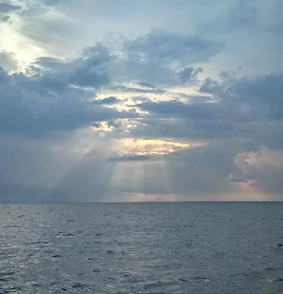 Aslan Görerek Uyuyanlar İçin Manevi Mesajlar