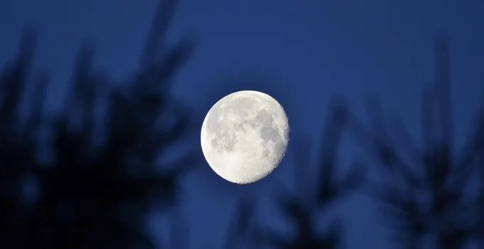 Rüyada Akrep Görmenin Olumlu ve Olumsuz Yorumları