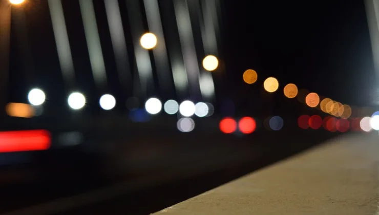 Rüyada Aslan Görmek: İş Hayatında Başarı İşaretleri