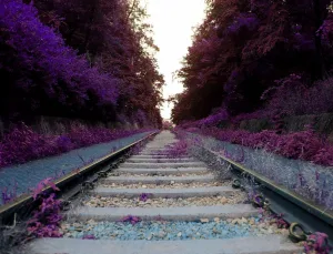 Rüyada Bisiklet Sürmek: Özgürlük ve Kaçış Sembolü