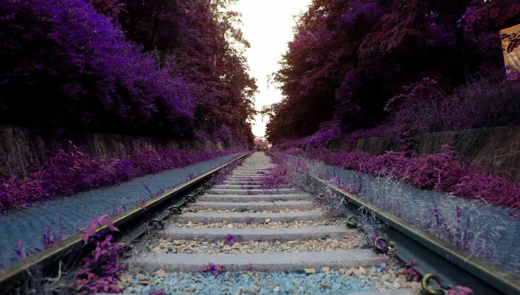 Rüyada Bisiklet Sürmek: Özgürlük ve Kaçış Sembolü