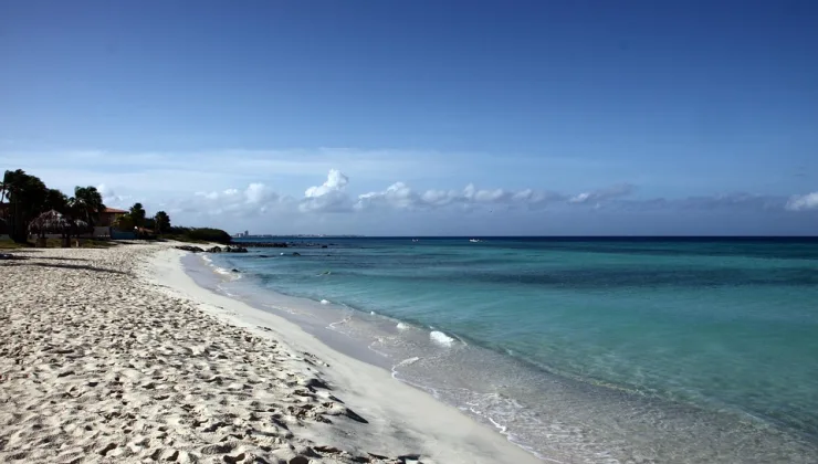 Rüyada Kızarmış Balık Görmek