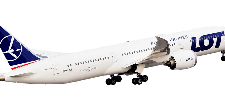 Akrep Rüyası ve Finansal Durumunuzdaki İşaretler