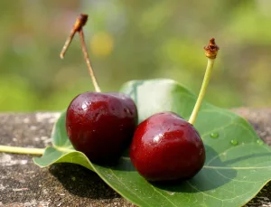 Altın Bulmak Rüyası ve Kişisel Başarı İlişkisi