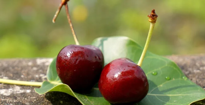 Altın Bulmak Rüyası ve Kişisel Başarı İlişkisi