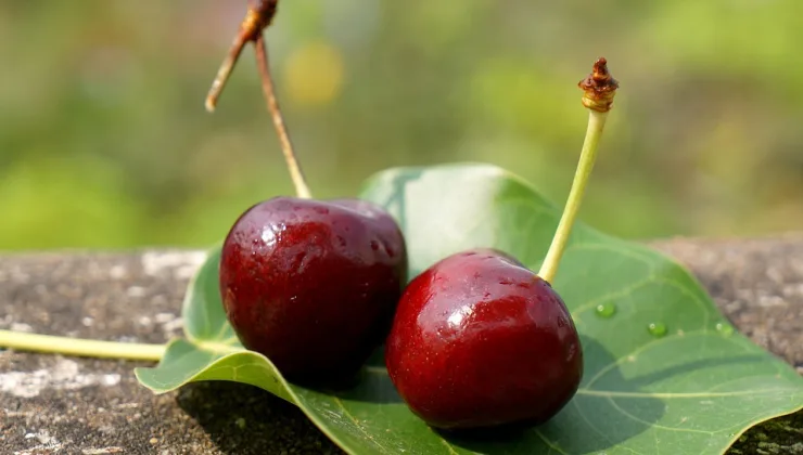 Altın Bulmak Rüyası ve Kişisel Başarı İlişkisi