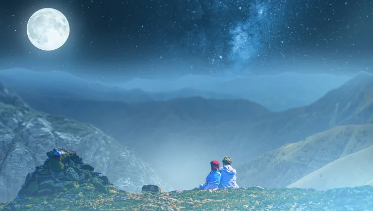 Arı Sokması Rüyası: Sağlık ve Duygusal Durumunuz