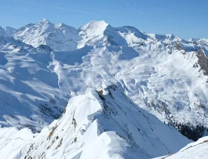 Aslan Rüyası ve Aşk Hayatına Etkileri