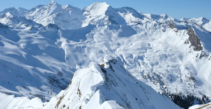 Aslan Rüyası ve Aşk Hayatına Etkileri