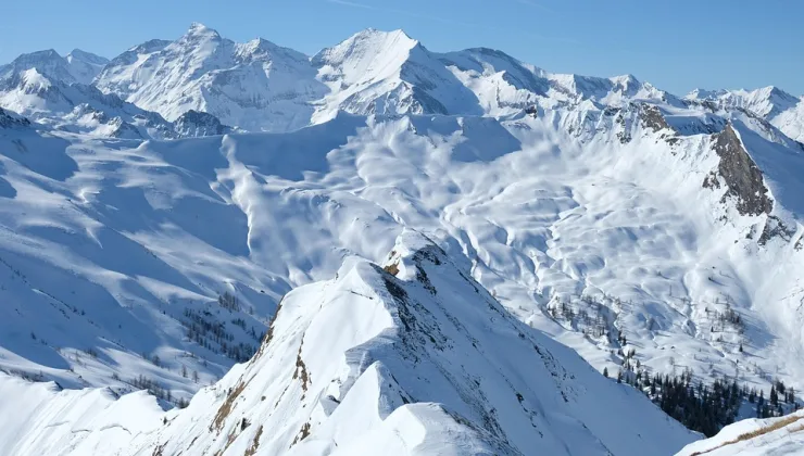 Aslan Rüyası ve Aşk Hayatına Etkileri