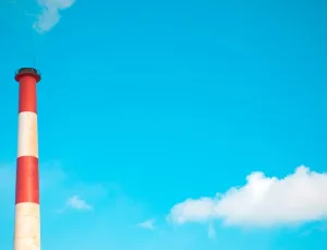 Ayı Görerek Uyuyanların Şans Durumu