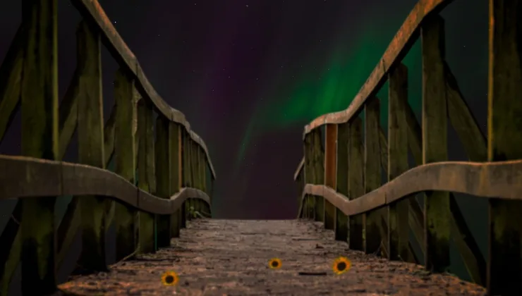 Ayı Rüyasında Karşılaşılan Korkular ve Çözümleri