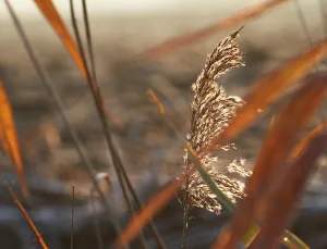 Rüyada Araba Sürmek ve Yolculuk Etmek: Yeni Başlangıçların Habercisi
