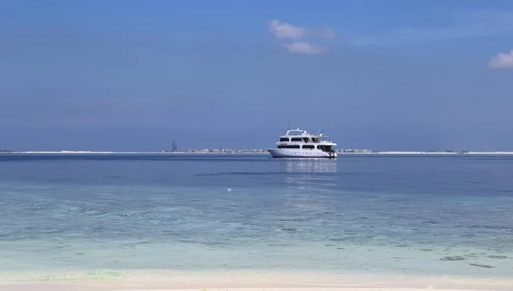 Rüyada At Görmenin Anlamı ve Sembolizmi