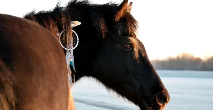 Rüyada Ayakkabı Çeşitleri Görmek